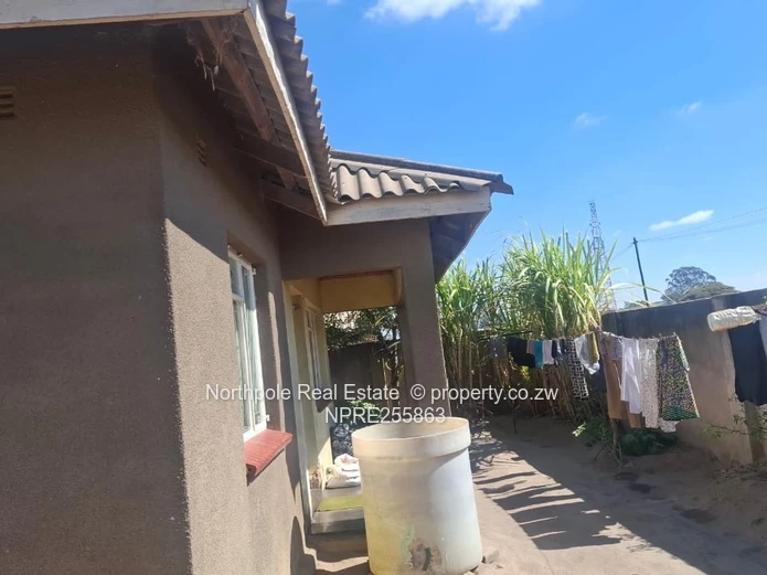 Ruwa house to rent 