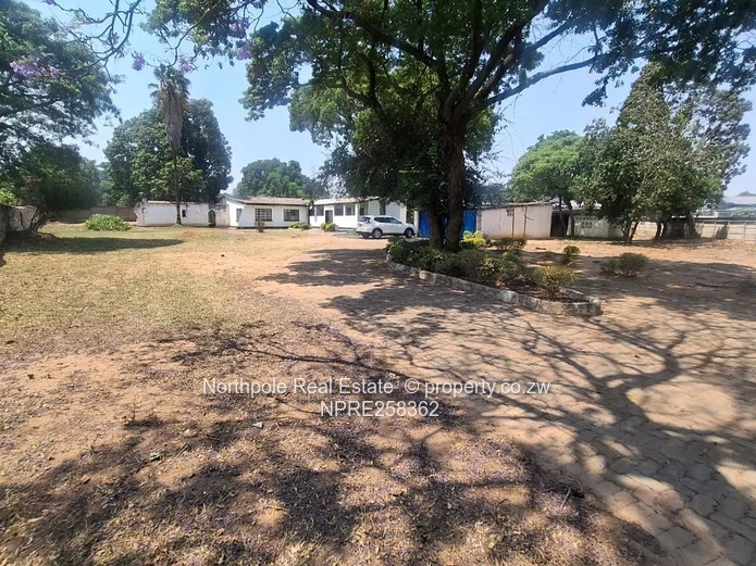Investors Delight In Hatifield 
