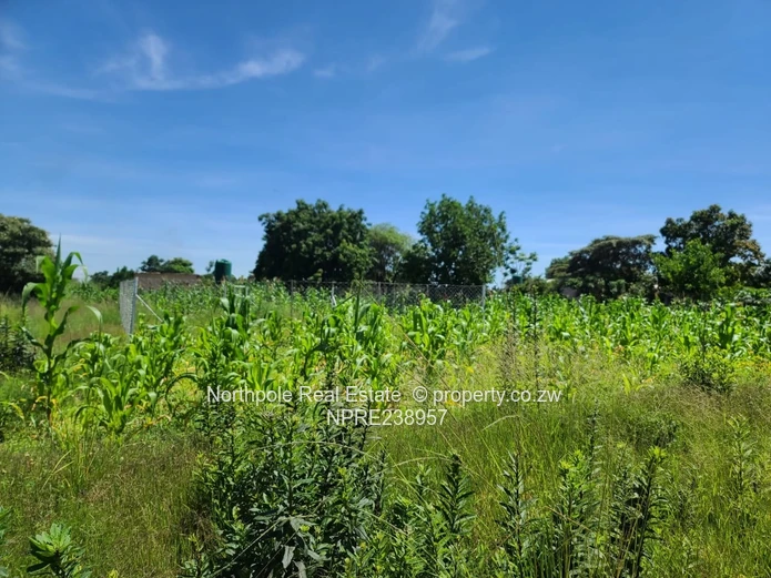 Eye Court Waterfalls Stand For Sale