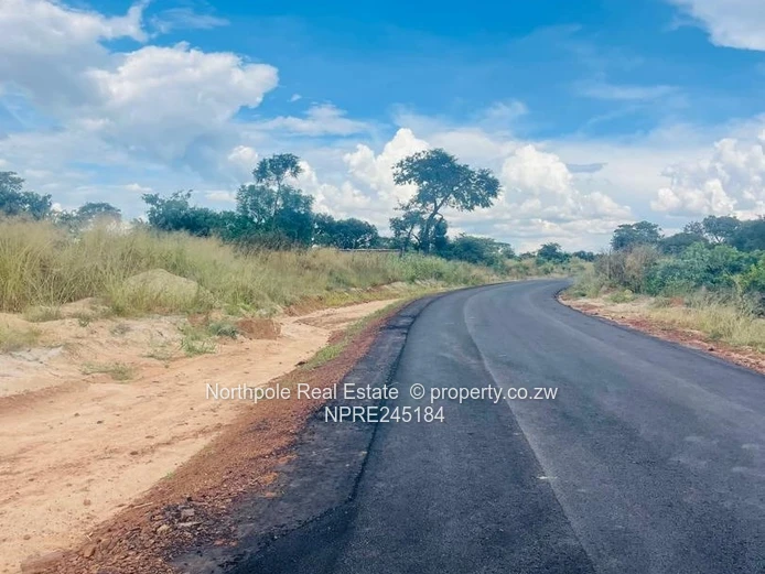 Great Opportunity Not  To Be Missed!!!