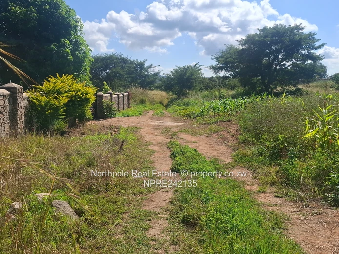 Perfect For  First Time Owners!!!