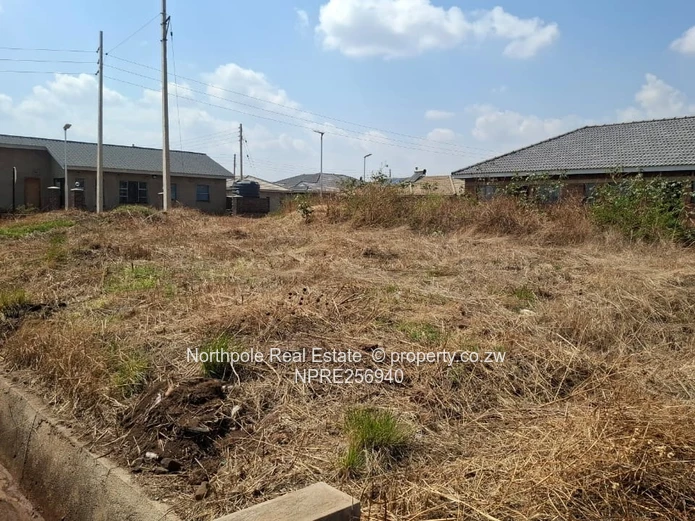 RAINHAM PARK PHASE 1 STAND USD45 000 slightly negotiable. 