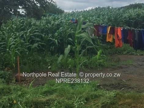 Mwashuma Park Phase 1 Stand For Sale