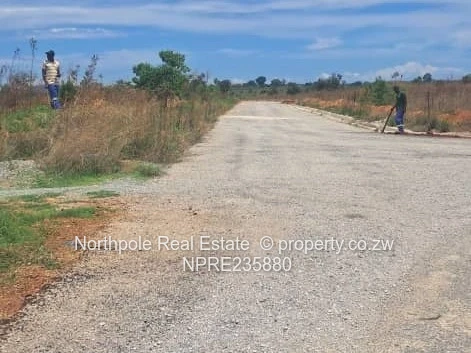 Choice Of 2 Nyabira Stands For Sale - Paarl Township