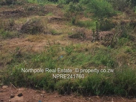 Stamford, Tynwald North Stand For Sale