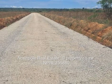 Choice Of 2 Nyabira Stands For Sale - Paarl Township